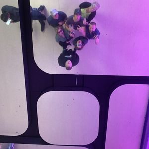 Meet your Posher, Carter